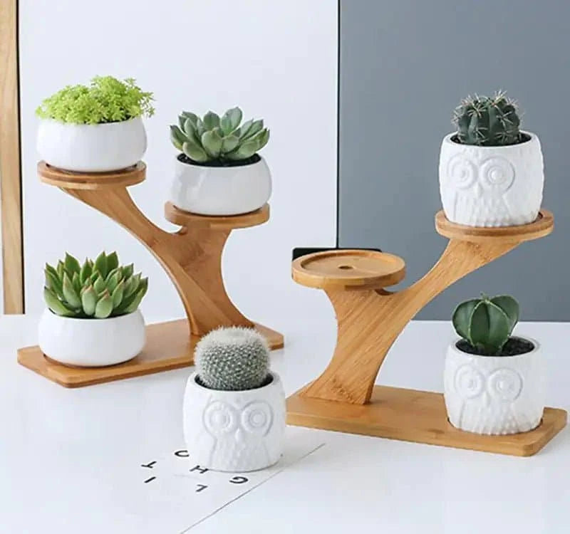 Elegant Succulent Ceramic Pots with Bamboo Shelf - Artistic, Sustainable Decor for Your Home - The UNIX