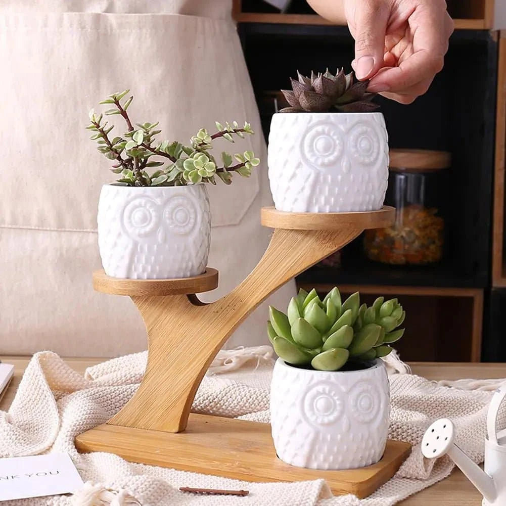 Elegant Succulent Ceramic Pots with Bamboo Shelf - Artistic, Sustainable Decor for Your Home - The UNIX