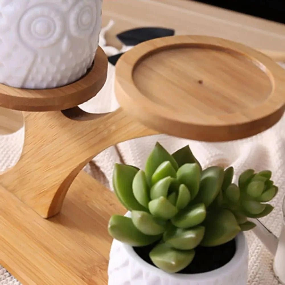 Elegant Succulent Ceramic Pots with Bamboo Shelf - Artistic, Sustainable Decor for Your Home - The UNIX