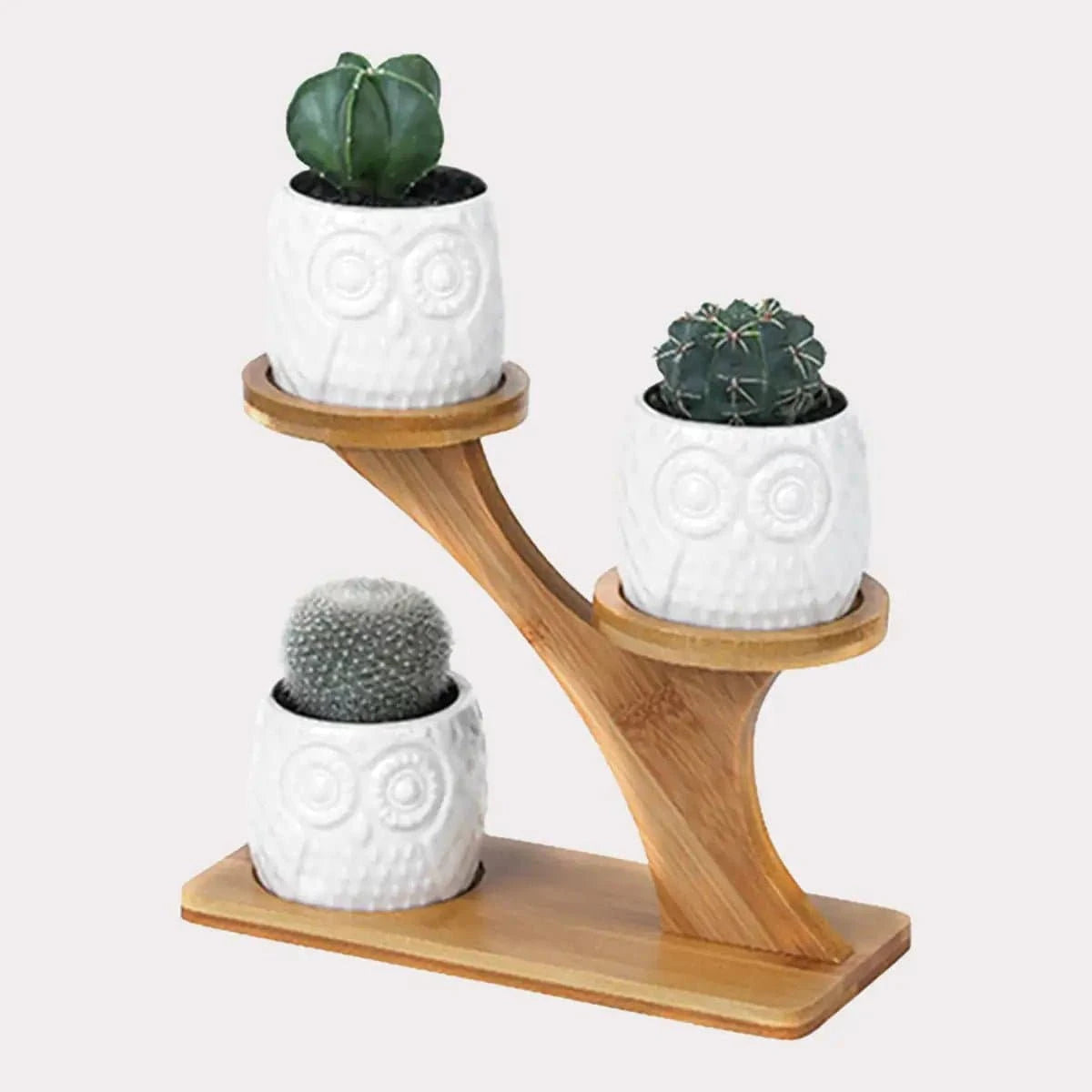 Elegant Succulent Ceramic Pots with Bamboo Shelf - Artistic, Sustainable Decor for Your Home - The UNIX