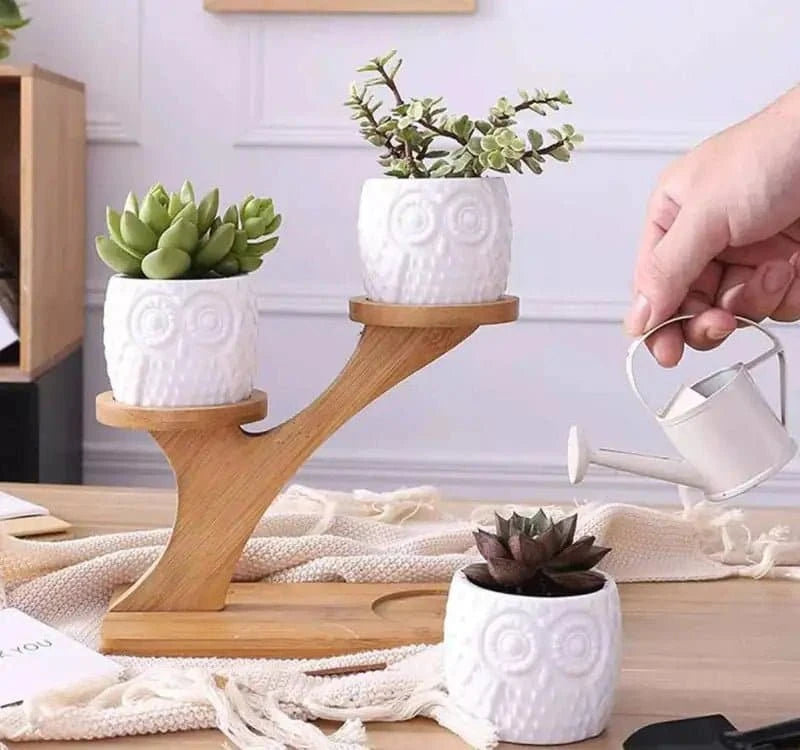 Elegant Succulent Ceramic Pots with Bamboo Shelf - Artistic, Sustainable Decor for Your Home - The UNIX